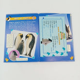 My animal kingdom - BKLT30939